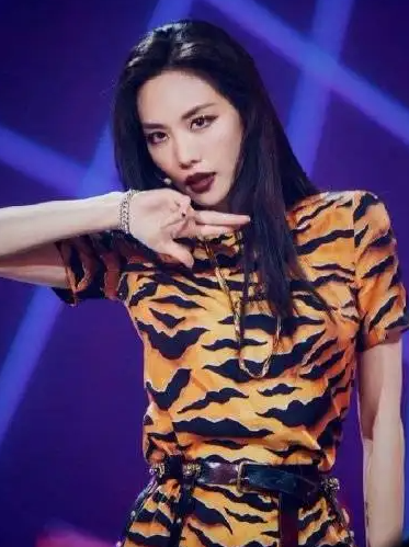 王霏霏|王霏霏因爱国被韩国排斥，登上浪姐事业回春终于在国内发展起来