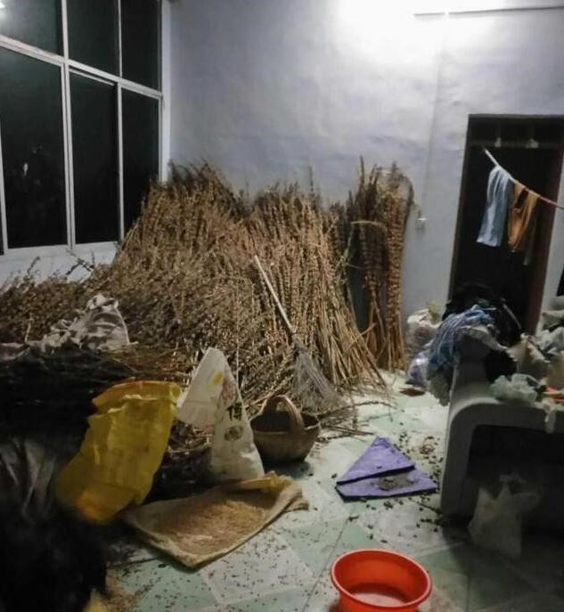 每次回家都脏乱差，婚房被婆婆住成垃圾场，还让我们常回家看看？