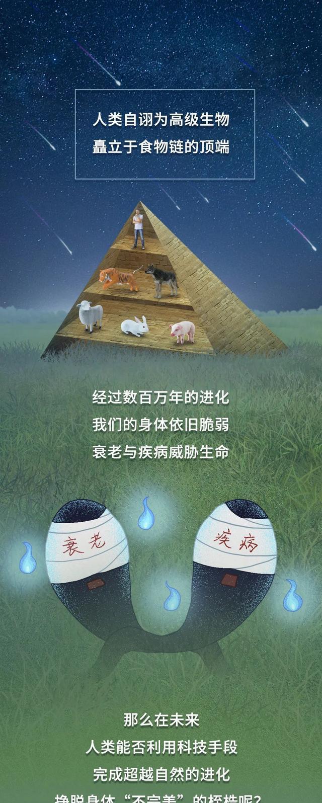 漫画|500年以后，人类会进化成啥样？一组漫画揭秘，你能想到吗？