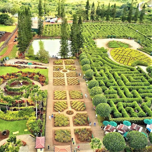 |世界上最大的迷宫，菠萝花园迷宫，兜兜转转看尽一生