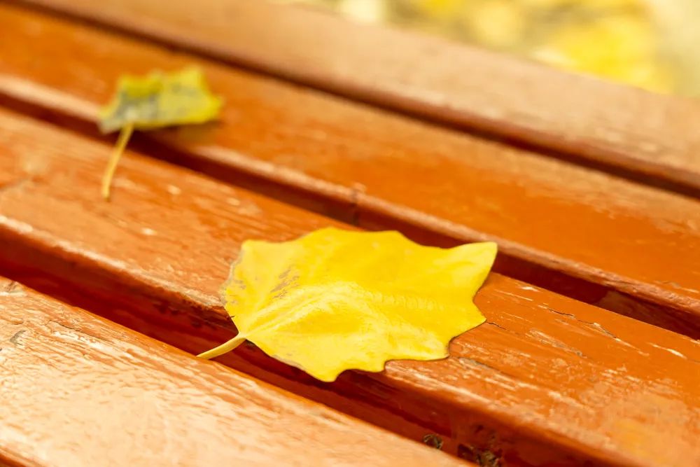 银川|银川往事（二） |  西国