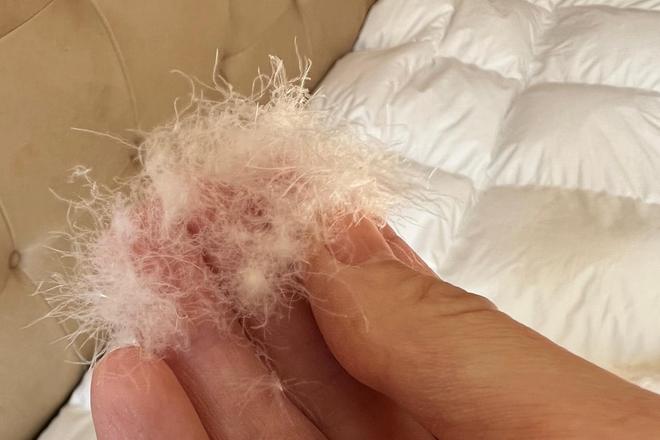 初冬盖着鹅绒睡，酣梦甜美多几分：网易严选957鹅绒被分享