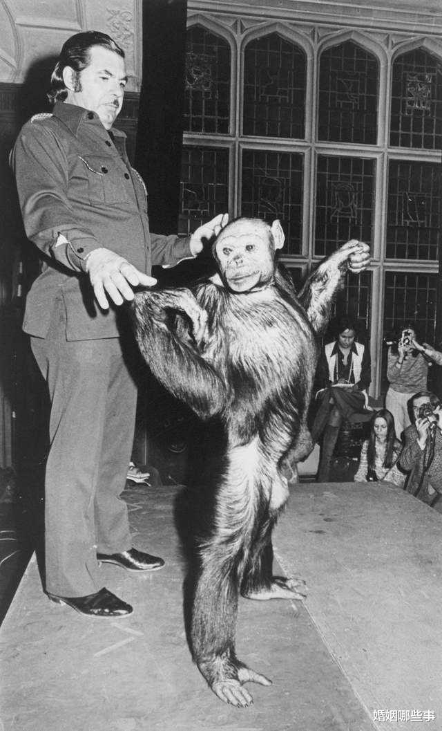 苏联失去人性的实验:试图让人怀上猿猴的孩子,其中过程极其残忍