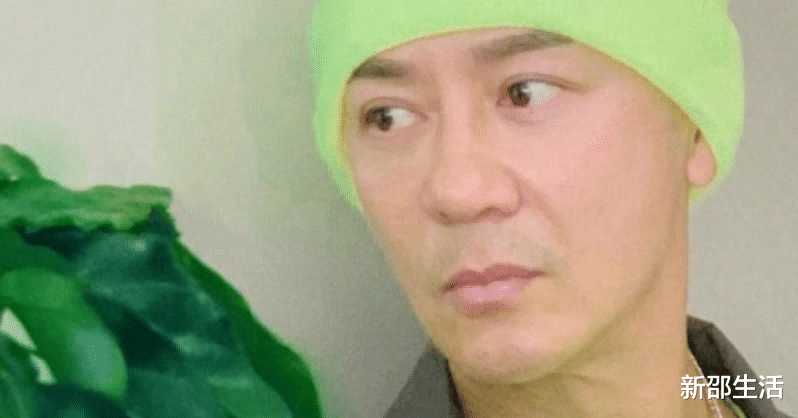 金晨|演艺圈“花式鼻子”大比拼，又尖又翘又吓人，一个比一个精彩