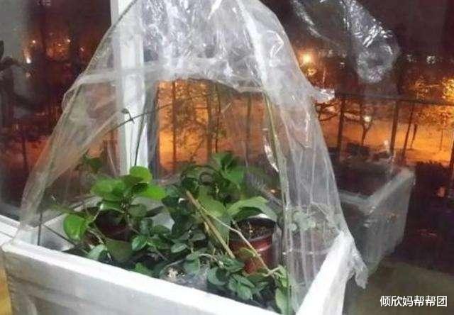 2022大寒 做好防寒保暖工作