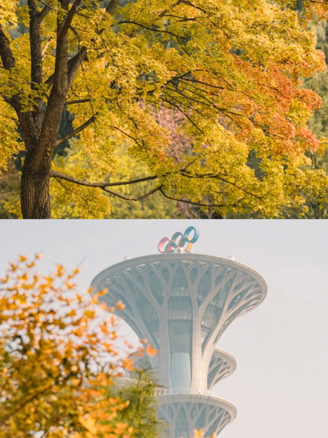 |北京赏秋宝藏地点