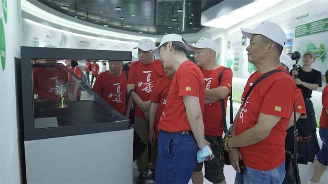 长兴岛|乡村之旅，品酒作画，有一见如故之欢笑，有不期而遇之美好