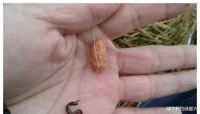 饵料|春季杆子越用越短，比着用短不可取！用饵思路不要有错误的认知