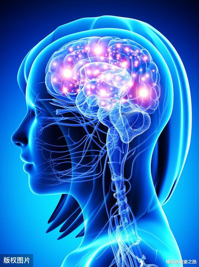 高血压|生活方式干预效果有差别?最新研究:可能与大脑胰岛素敏感有关
