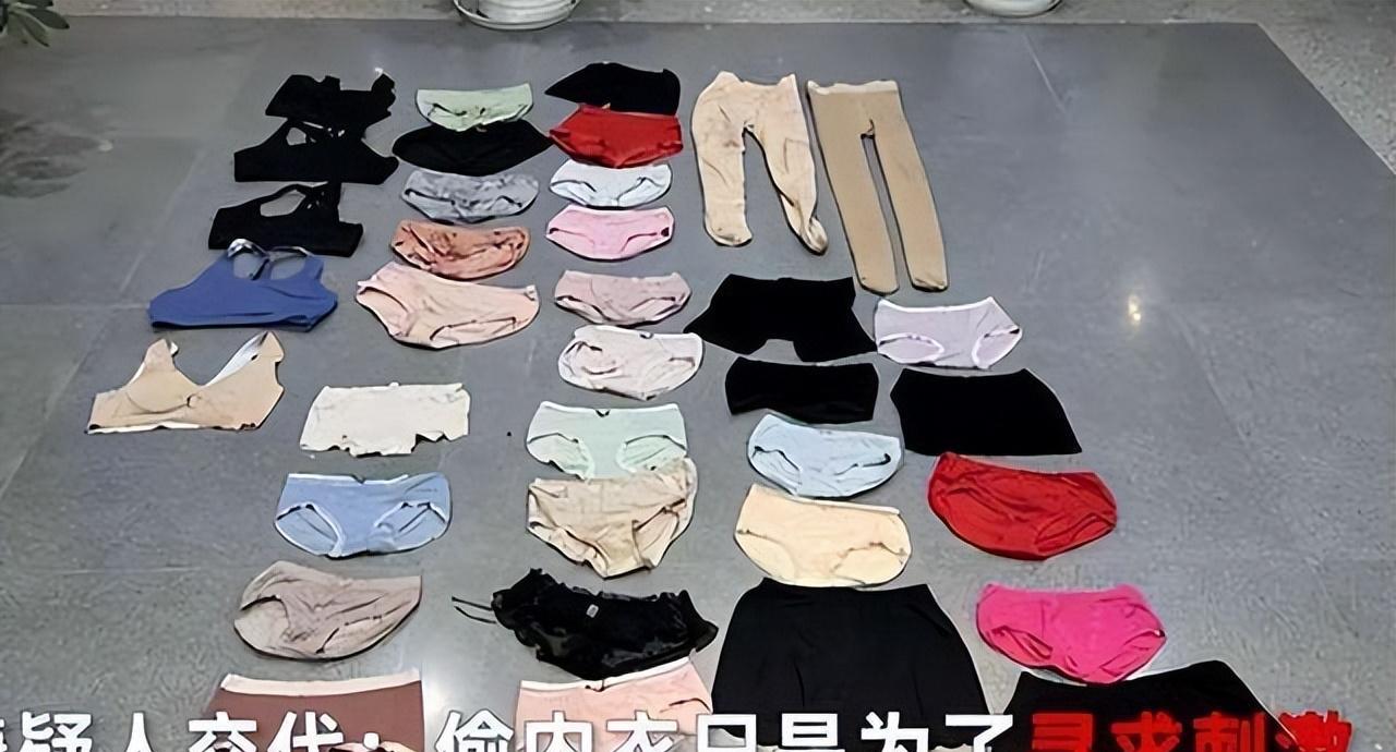 回顾：美女10天丢了4件内衣，小偷是隔壁邻居：她比明星还好看