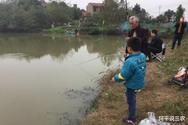 新农合|农村出现8大“人才”，涉及每个村，你们村不知道有没有哦？
