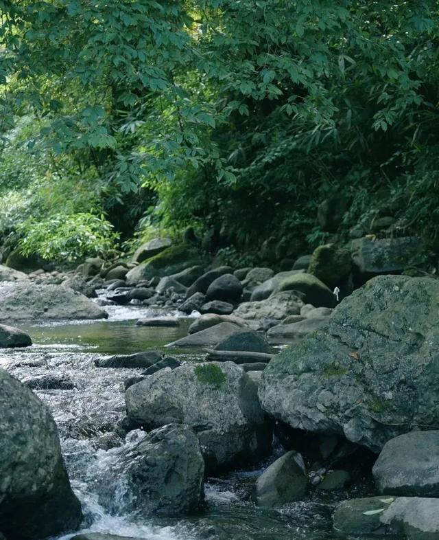 成都|不去厦门!成都也能打卡同款“荧光海”,20℃的森趣山林轻徒步巴适惨!