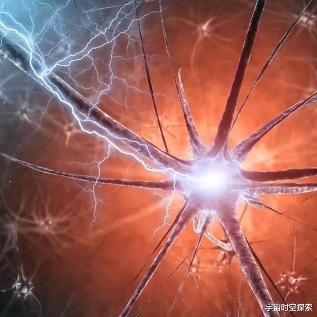 万物都是由原子构成的,人类拥有思想为何石头没有?
