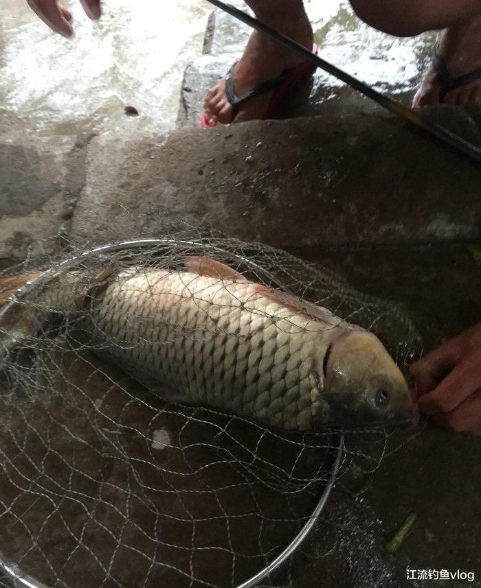 |他是不是钓鱼老手,看以下几种表现就知道