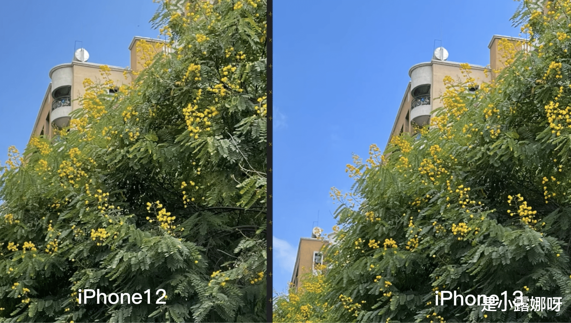 iphone13|4499元的iPhone12对比iPhone13，哪个更值？