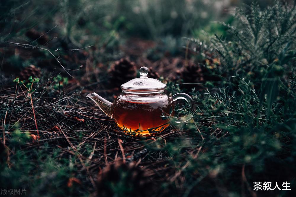 懂得这几点,才知道该怎样品鉴普洱茶