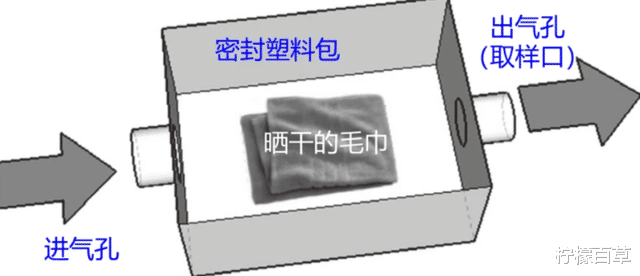 晒被子后有“太阳味”,是因为螨虫被烤焦了?科学家:太阳的功劳