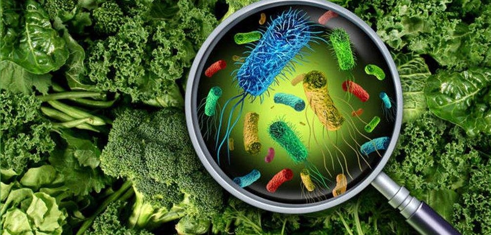 如果地球上所有生物都开始反抗人类,届时人类能否撑过一天?