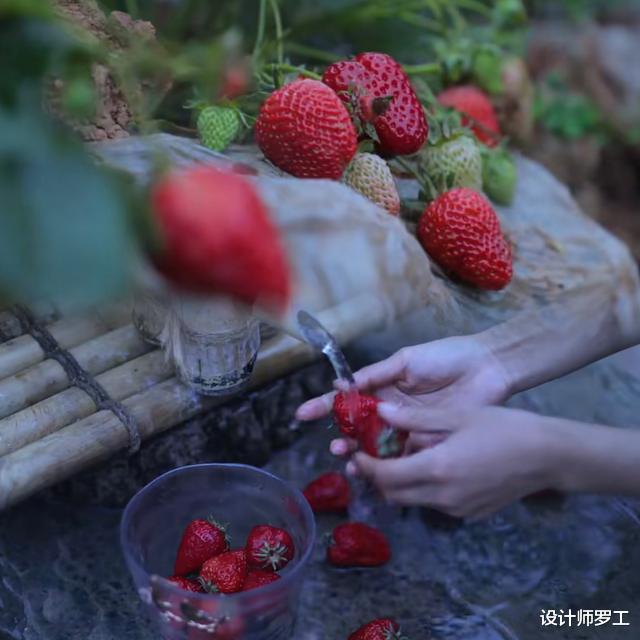 李子柒|远离尘嚣，李子柒的中国式田园生活让人羡慕，过着与世无争的惬意