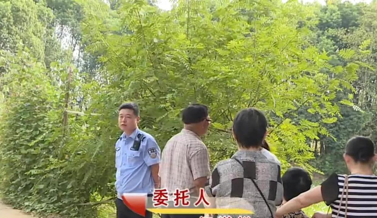 七旬老人绯闻不断,儿子因怕父亲有私生子争夺财产,将其告上法庭