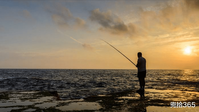舟山|女子海边捡了条鱼放生，被钓鱼人要求赔偿400元，到底怎么回事？