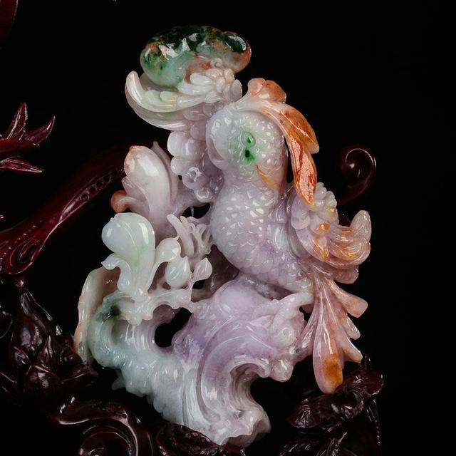 鹦鹉|鹦鹉殊姿致,鸾皇得比肩,翡翠鹦鹉的寓意你知道哪些呢?