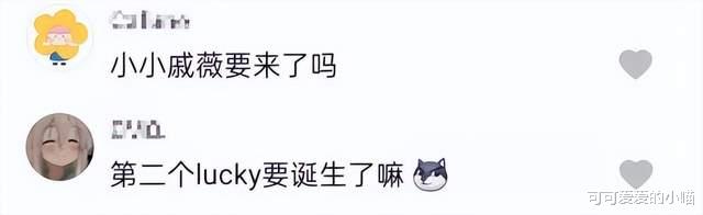 汪小菲|同一天6个瓜:偷税漏税,承认生子,发文怼人,喜怒哀乐全占了