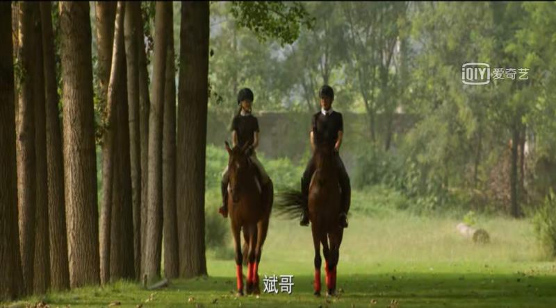 尤珊珊|《北辙南辕》:义薄云天的尤珊珊,不是个好母亲