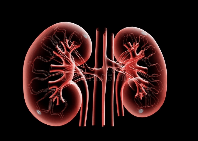 小米粥|肾病要好得快，恢复肾功能，要盯着2点问题3点方法