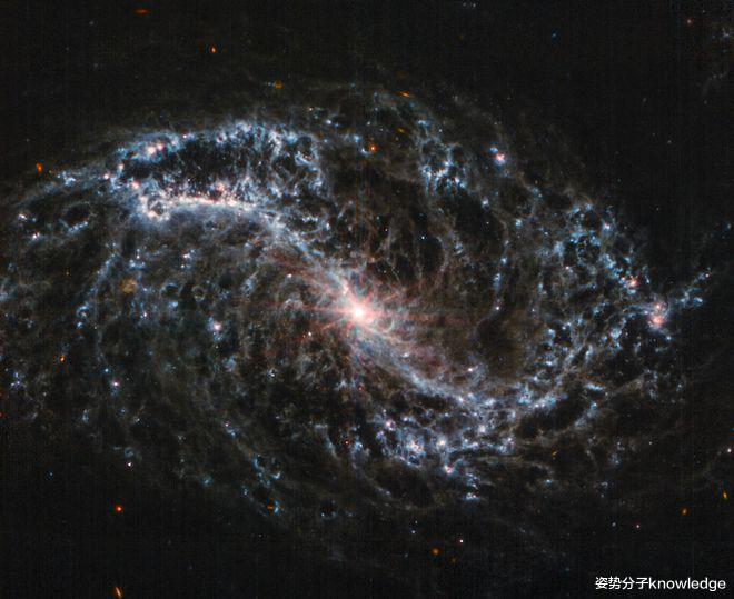韦布望远镜最新图像，2400万光年外的棒旋星系