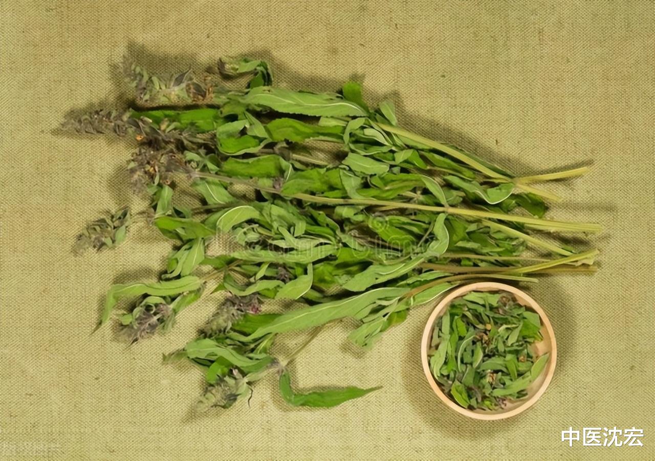 睡眠|丹参你适合吃吗?丹参的功效你知道多少?