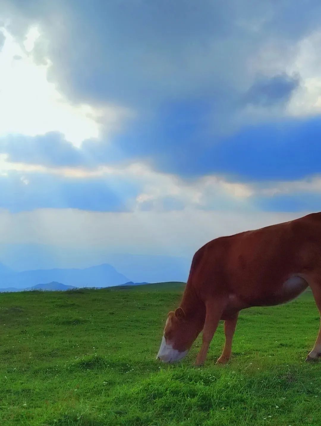 六盘水|它是中国唯一凉都,空调都是摆设,超过30度有警报