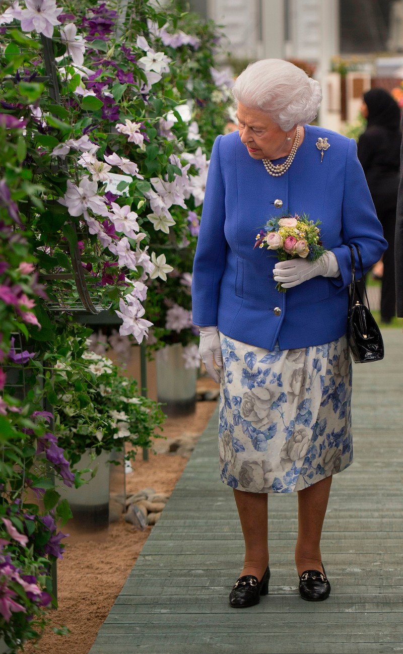 凯特王妃清新赏花穿搭掀秒杀爆买热潮再创完售奇迹，伊凡卡不示弱