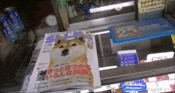 |“生在显赫的贵族家族里是种怎样的体验？”涨见识了