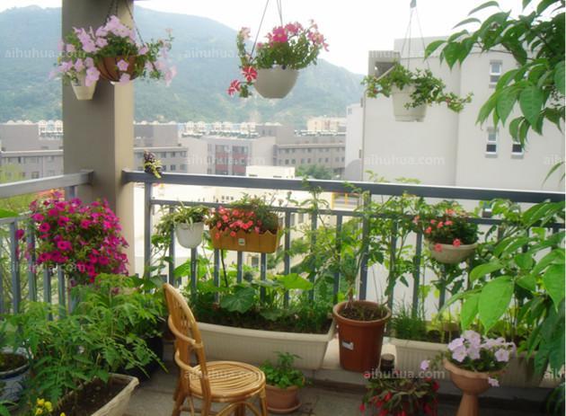 别羡慕别人家的花园了,其实你家的花园,也可以这么美