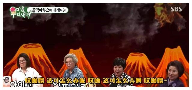 我家的熊孩子|韩国收视率一线节目《我家的熊孩子》片酬一览,妈妈出场费引争议