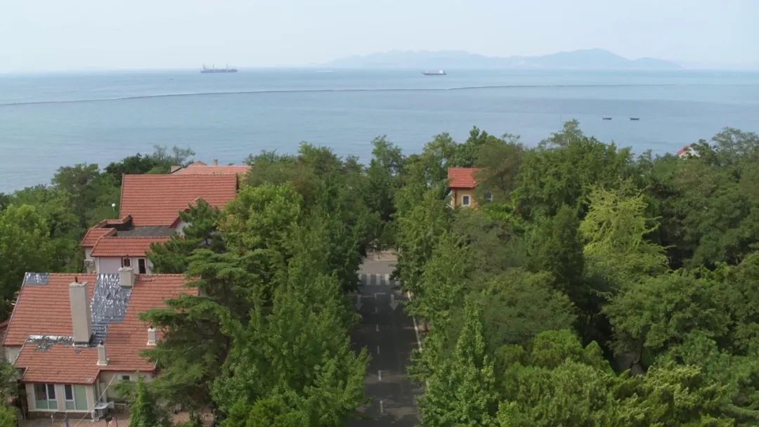 |青岛取景！这部央视开年大剧正在热播，你看了吗？