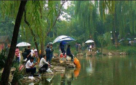 相声|渔乐杂谈:夏季钓鱼22问之篇1(夏季是不是钓鱼的好季节?)