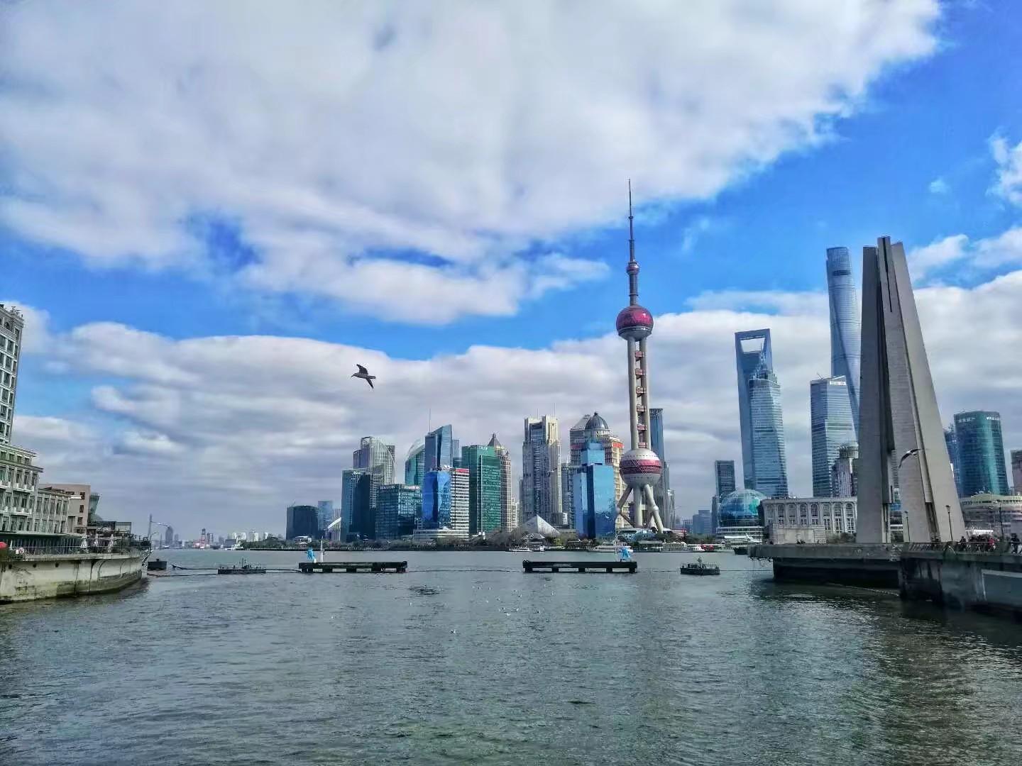 上海市|黄山归来不看岳，九寨归来不看水，上海叫海没有海