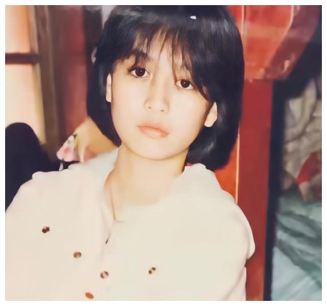 张庭|拟被罚113亿！“酒窝女神”张庭能有今天，一点都不意外