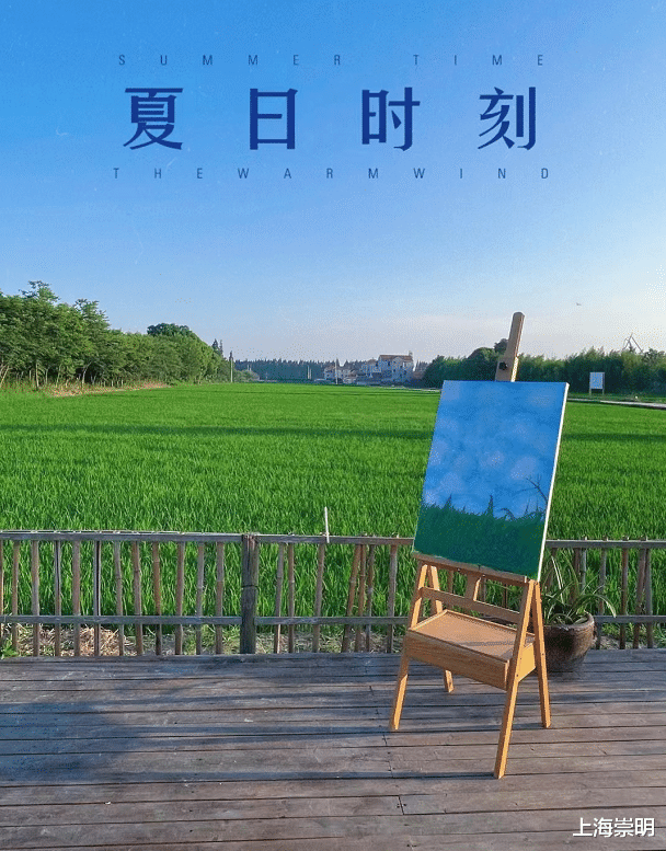 荷花|你了解这个新职业吗?听听崇明这些人怎么说