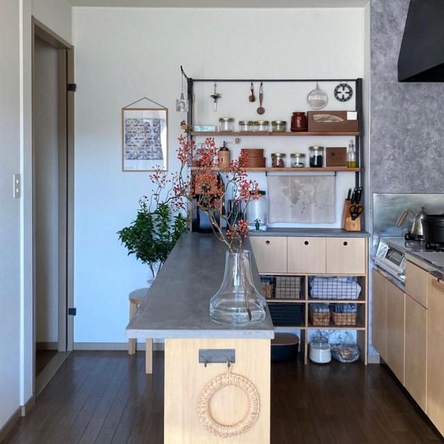 51岁日本阿姨独居33年，全屋温暖治愈，原来一个人居住这么爽！