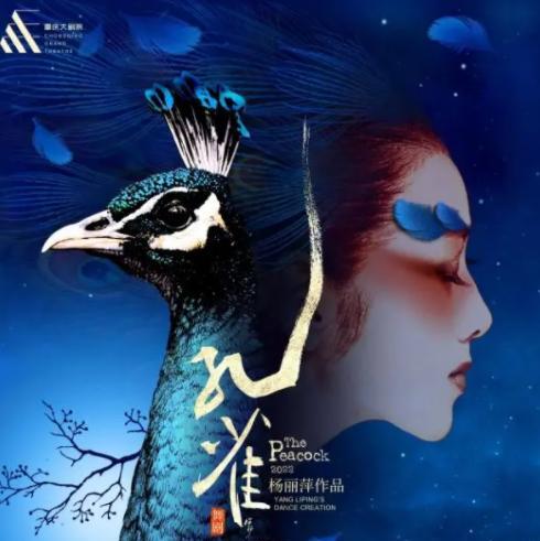 王迪|痛心！杨丽萍舞伴王迪坠亡，好友曝光最后聊天内容，杨丽萍未表示