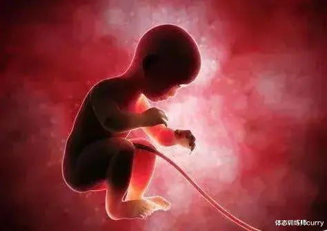 深蹲|重建髋关节治愈腰背疼痛