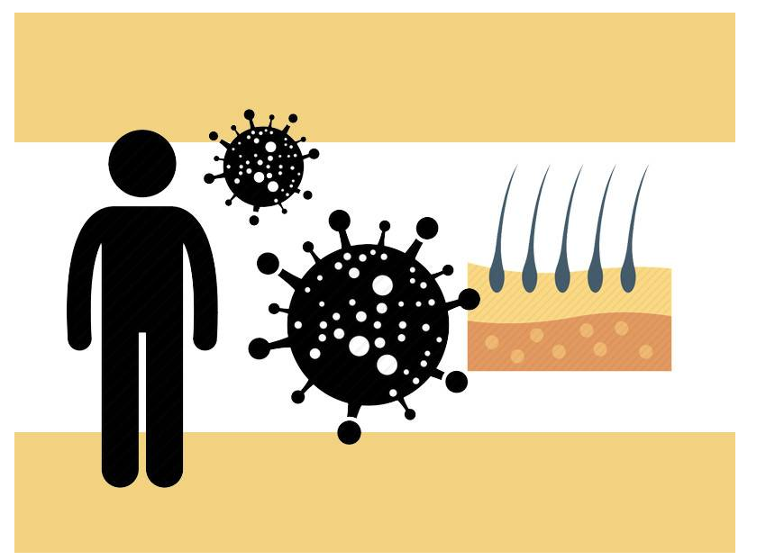 脱发|每天洗头不一定加重脱发！多久洗一次才好？不同发质不同要求