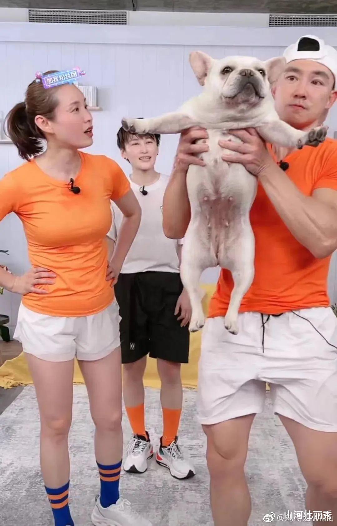 |抖音“顶流”，凉了之后去哪了？