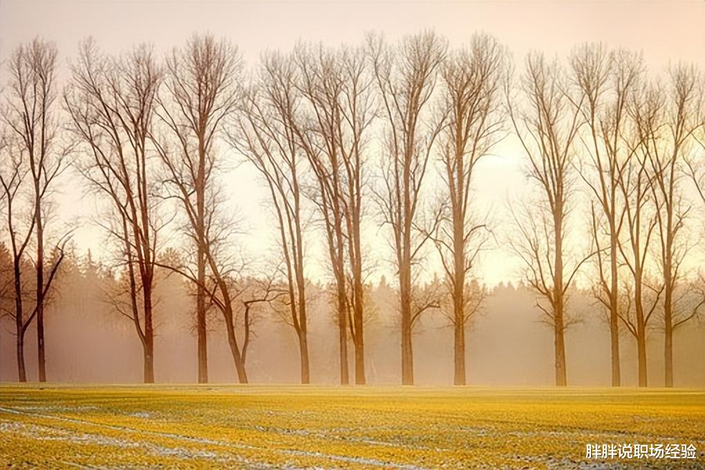 |职场中,一次精彩的汇报,超过干好10件事