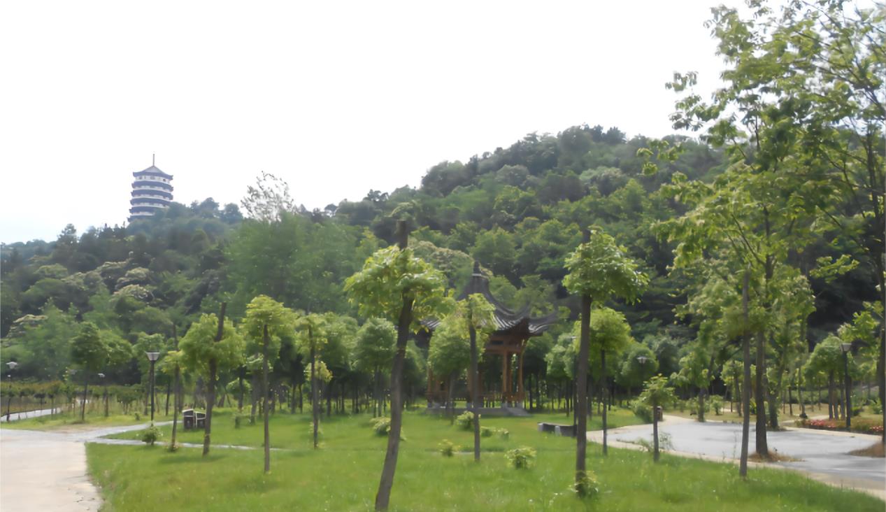 旅行社|299平方千米！安徽这一湖泊景观，集合了林、泉、水、崖等美景！