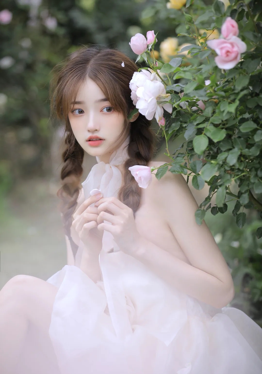 玫瑰|娇艳欲滴的粉色玫瑰女孩惊艳纯美