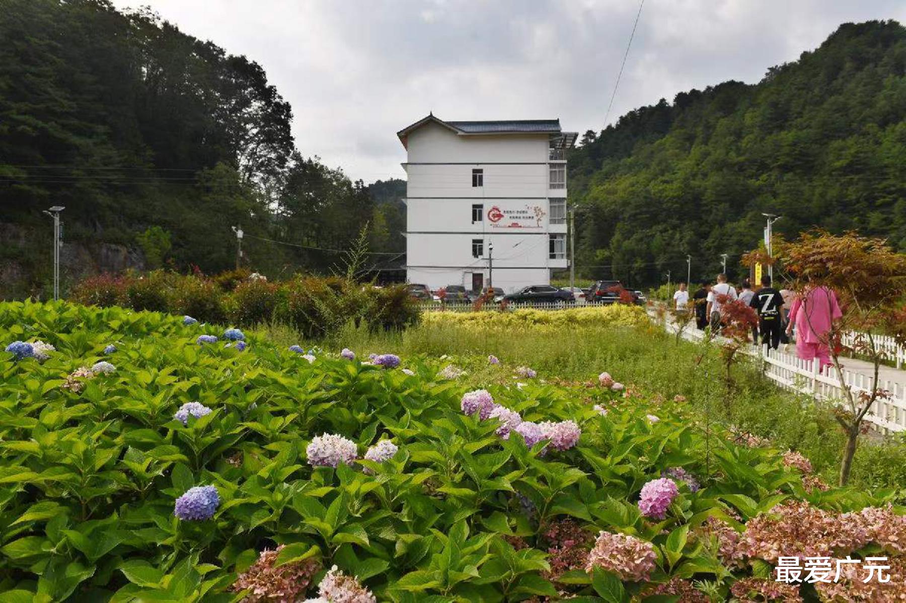 广元|广元城热浪滚滚，海拔1500米的曾家山只有23°，风景秀美奇特！